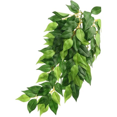 Exo Terra Ficus Large - Pianta da terrario di grandi dimensioni EX-0506 (1/3)