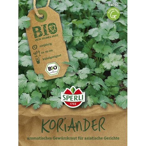 Sperli Koriander Blattkoriander - 1 Portion (1/2)