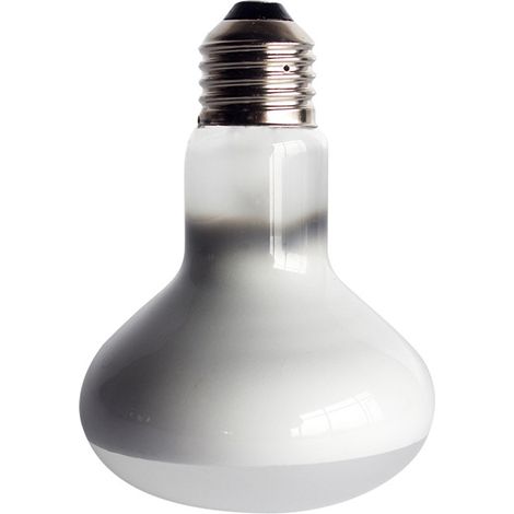 Lampe UVA+UVB pour reptiles, lampe chauffante pour tortues et amphibiens, régulateur de température (25W) (1/4)