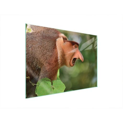 PLACA PROTECTORA DE VIDRIO PARA ESTUFA 70x52 NOSACZ (1/5)