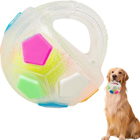 Balle pour chien, jeu à lancer et à rapporter avec poignée, jouet (1/5)
