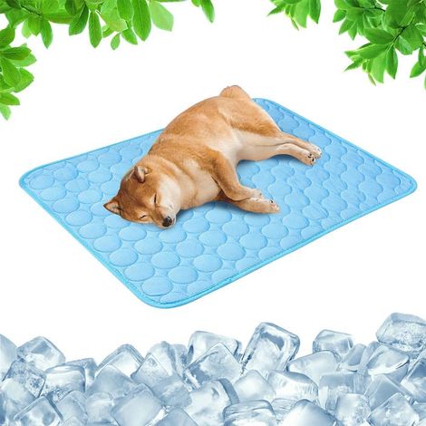 Tappetino refrigerante per cani e gatti, tappetino refrigerante portatile 2026 per cani, rimane freddo più a lungo, tappetino refrigerante per animali domestici e facile da pulire (1/5)