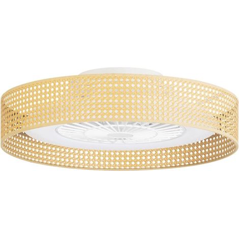 Deckenventilator mit LED-Beleuchtung, 32,7 W, 1665 lm, warmweiß 2700 K – Durchmesser 66 cm – Braunes Kunststoffgehäuse – Für den Innenbereich – (1/4)