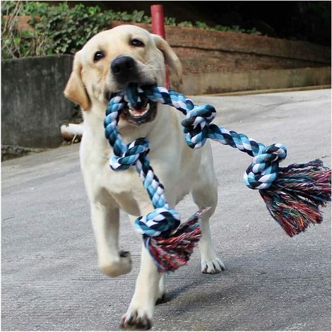 Jouets de corde de chien pour les grands chiens de mastication agressifs forts, jouets durables de formation de mastication de chien remorqueur de corde pour les mâcheurs agressifs (1/5)