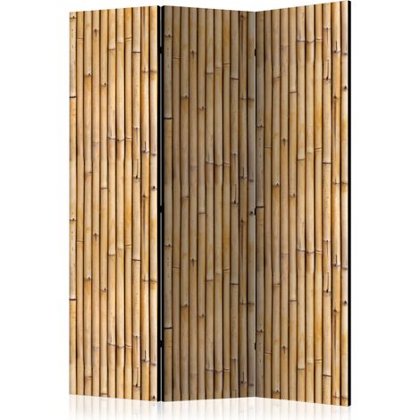 Paravento - Amazonian Wall [Room Dividers] - 135x172
