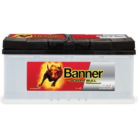 Batterie voiture 12V 100Ah 820A – P10040 – Technologie plomb calcium sans entretien – Pour voitures, camionnettes et bateaux – Banner