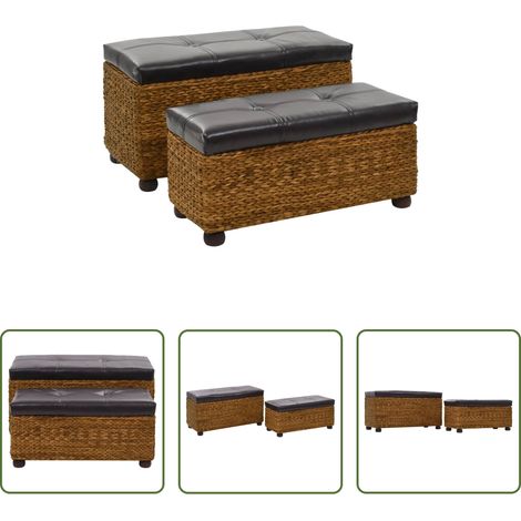 vidaXL Bancs rustiques - Ensemble de banc lot de 2 Jacinthe d'eau Marron (1/5)