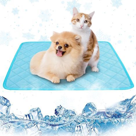Kühlende Hundematte, Polyester, rutschfest, waschbar, wasserdicht, Sommer (1/5)