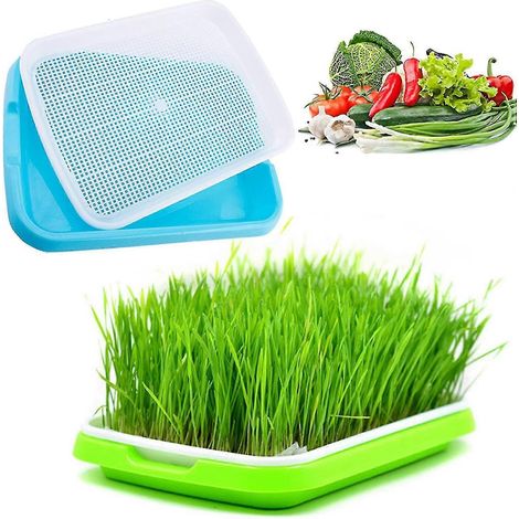 Filiyano-Plateau de germination, mini-serre pour semis, épandeur, plateau à semis en plastique pour jardin, balcon ou bureau (1/5)