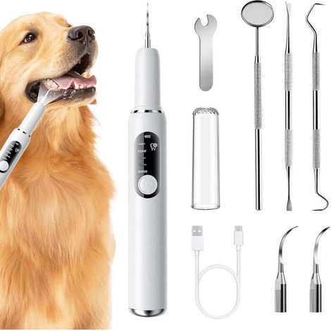 Nettoyage Dentaire Pour Chiens Et Chats - Appareil Électrique Anti-Tartre - 5 Modes De Nettoyage - Fonctionnement Silencieux IPX6 Étanche Rechargeable USB - Ensemble Complet Avec Embouts (1/5)