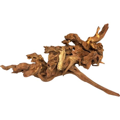 BioRoot Korallenholz M / 20-40 cm / Korallenwurzel für Terrarien und Aquarien