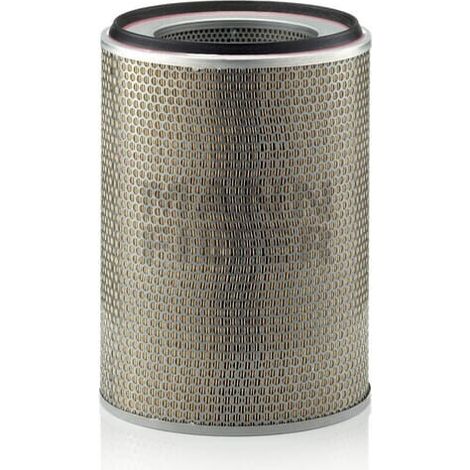 Filtre à air Mann Filter C291055