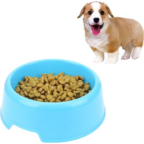 2 Pièces Gamelle pour Animaux en Plastique Bleu Légère et Facile à Nettoyer Base Antidérapante pour L'alimentation des Chiens et Chats (1/5)