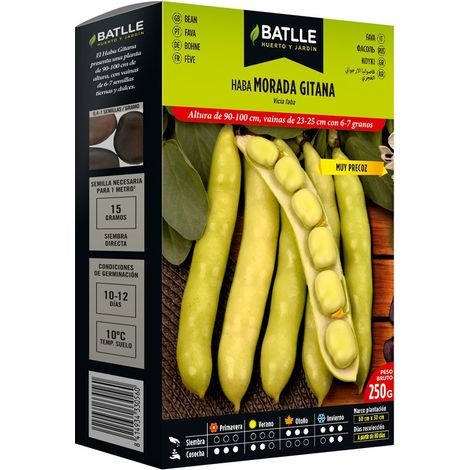 Semillas de Haba Morada Gitana 250 gramos