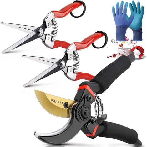 Gartenscheren Set mit Handschuhen, Rosenschere aus Edelstahl, Pflanzenschere für frische Äste, Bonsai, Blumen & Obst (1/5)