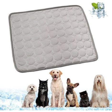 Tapis Rafraîchissant Chat Gris M 62x50cm Coussin Été Auto-Refroidissant Pour Petit Chien Chat – Tissu Oxford Étanche et Pliable (1/5)