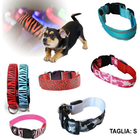 TrAdE Shop Traesio - Collare Per Cane Cani A Led Luminoso Sicurezza Led Notturno Clip Fantasia Tg.s - (1/3)
