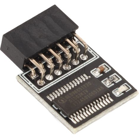Module TPM 2.0 12 broches pour carte mère - Interface LPC, Haute sécurité, Matériau durable et stable (1/5)