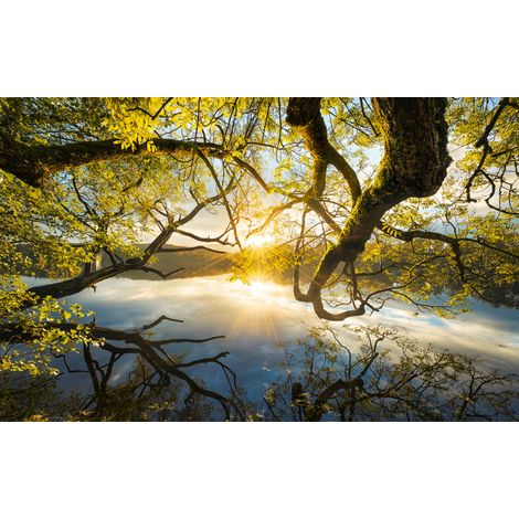 Papier peint panoramique naturel,romantique Étreinte Dorée (1/4)