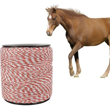 Fil de Clôture Électrique, Corde de Clôture Électrique 500 M, Corde Conductrice en Acier Inoxydable, Accessoire de Clôture Électrique pour Ferme, Conductivité Fiable, Résistant à Rouille (1/5)