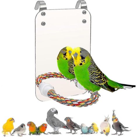 [KK] Perchoir à oiseaux avec miroir intégré, compatible avec les cages à perruches. (1/5)
