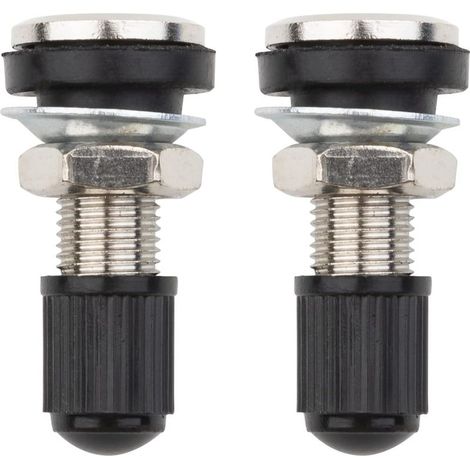 2 pièces Voiture Moto Pneu Valve Tubeless Potence en métal avec Capuchon Anti-poussière (32mm)