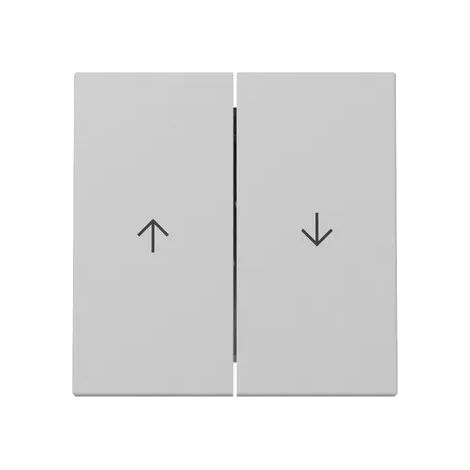 Gira Wippe 2f Pfeil System 55 Grau m [3294015], 3294 015