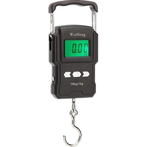 Bilancia da pesca, bilancia da viaggio sospesa da 165 libbre/75 kg, bilancia da pesca elettronica con schermo LCD retroilluminato, metro a nastro e 2 batterie AAA, adatta per la pesca all'aperto (1/5)