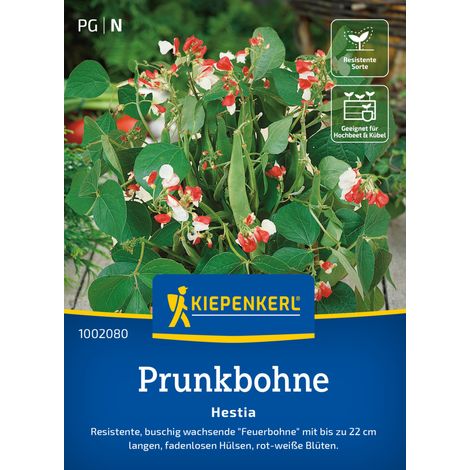 Kiepenkerl Saatgut Prunkbohnen Hestia für ca. 35 Pflanzen (1/2)