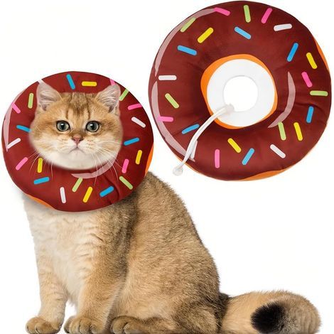 Collerette Récupération Protection Lavable pour Chat et Chien, Collier Post Opératoire, 25CM  L Collerettes pour Animaux de Compagnie