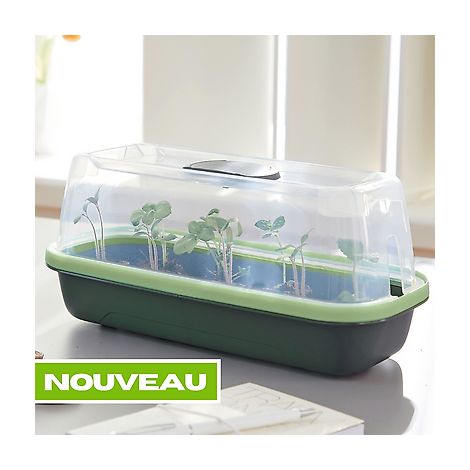 SERRE GREEN BOQUBE - 37 X 19 X 12 CM - DIVERS