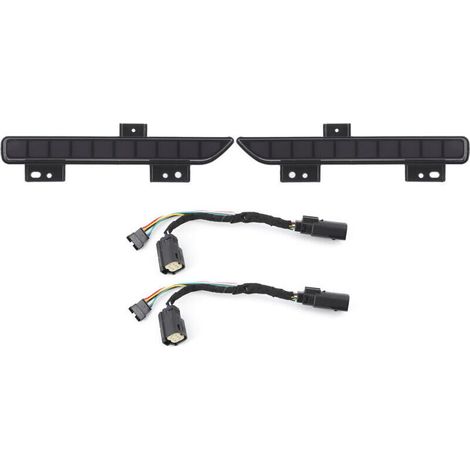 Rückleuchten, dynamische Blinker, Feststellbremse, getönte Gläser, passend für Ford F150 2016-2018 (1/4)