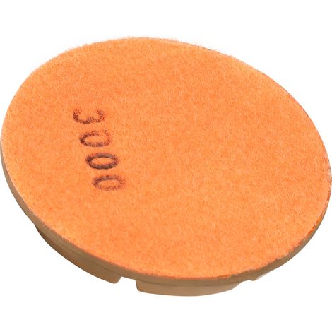 disque de polissage diamanté humide de 100 mm (4 pouces) pour granit, marbre et béton (3000) (1/5)