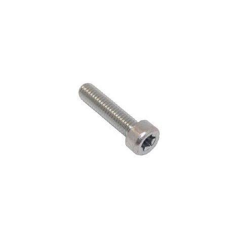 908405205 - Vis TORX M5x20 pour Tronçonneuse DOLMAR