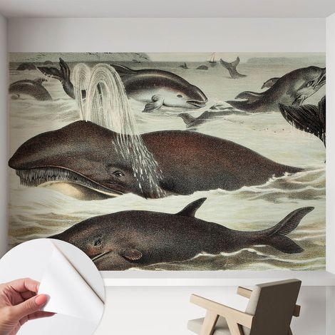 Papier peint autocollant adhésif avec imprimé motifs uniques apparence moderne Créatures marines 152x104 cm (1/5)