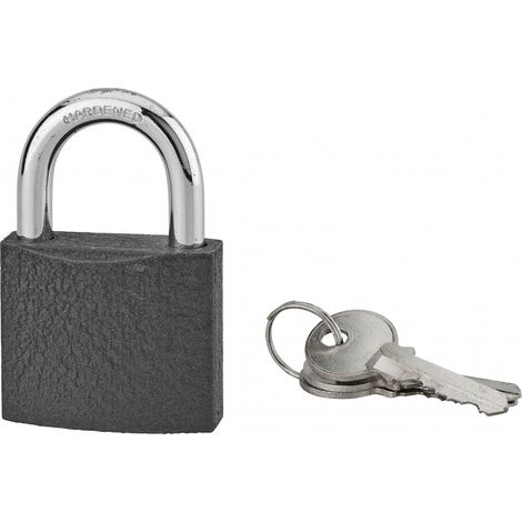 Lucchetto ACERA grigio 50 mm con arco in acciaio cementato, 3 chiavi – THIRARD