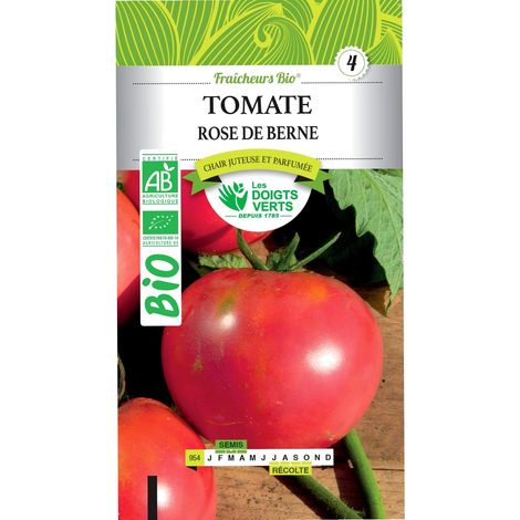 Graines tomate rose de Berne BIO Les Doigts Verts