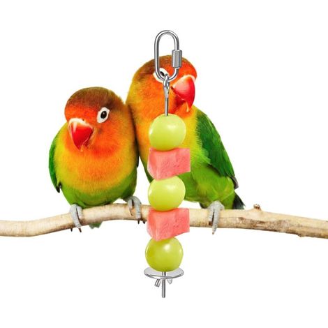 Brochette pour Nourriture d'oiseaux  Porte-Fruits en Acier Inoxydable pour Oiseaux  Pic À Légumes pour Oiseaux,Perchoir Cage pour Ara Perruche Calopsitte Conure Canaris Inséparable Cacatoès (1/5)