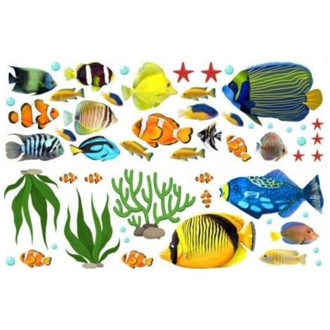 A set of tropical fish wall stickers Wall Decals Wall Decor Removable Sticker for living room Bathroom Children's room (1/5)