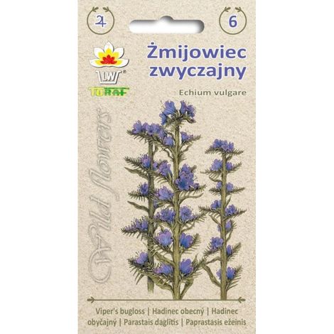 Echium vulgaris 1g