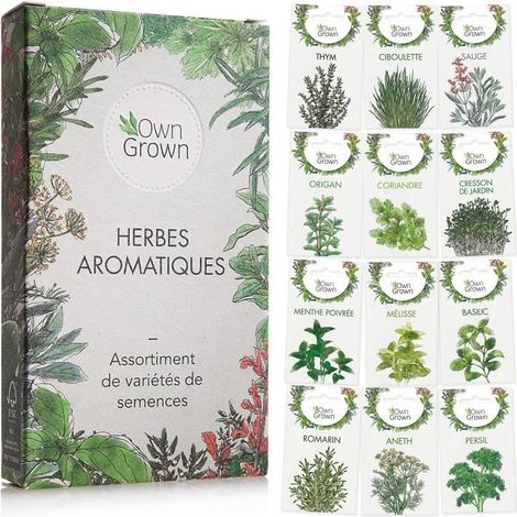 Kit de graines d‘herbes aromatiques prêt à pousser , 12 épices et aromates à planter en un kit pratique, Kit graines aromatiq[O144]