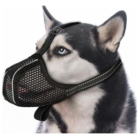 QORVA-Muselière réfléchissante réglable pour chien - Empêche la mastication, l'ingestion et les morsures - Noir