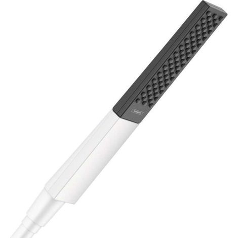 HANSGROHE Teleducha 100 1jet EcoSmart blanco mate Rainfinity