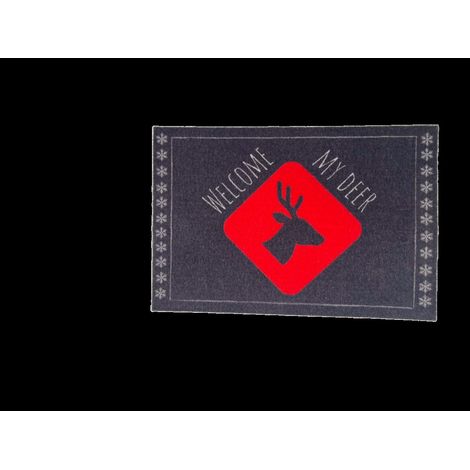 Tapis Intérieur Anti Dérapant et Absorbant Quebec 40X60cm (1/4)