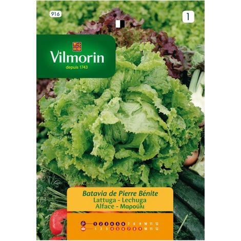Vilmorin Salatsamen Pierre Benite, Ref: 916, Ð©ber 7 g