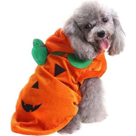 Costume d'Halloween pour Chat et Chien, Déguisement Citrouille Amusant pour Animaux de Compagnie (1/4)