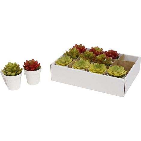 TRADE SHOP - Set 12pz Mini Pianta Grassa Artificiale Con Vaso In Pp Rotondo ø6x8cm Decorative 207212 -