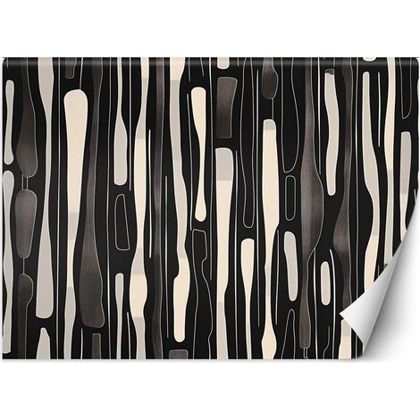 Fototapete Schwarz-weiße Abstraktion 300x210 cm