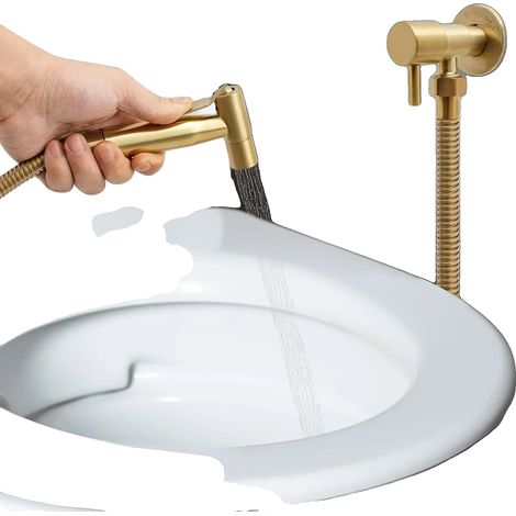 Ducha de mano, acero inoxidable, manguera de 1,5 m, rango de temperatura 0-80℃, montaje en pared, 1 salida. (1/5)