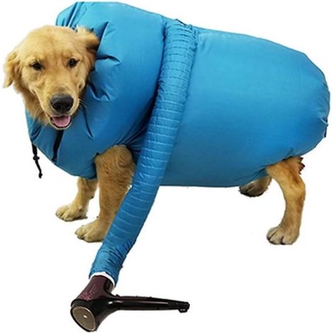 Sèche-cheveux et sac de séchage pour animaux - Séchage rapide automatique pour chiens et chats (1/5)